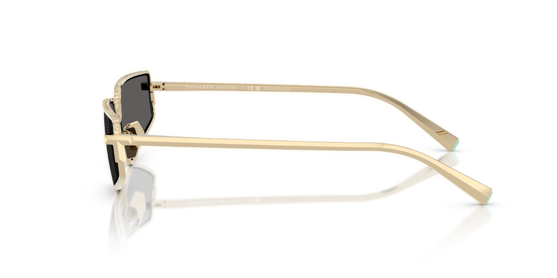 Солнцезащитные очки Tiffany & Co. TF3113KB 6220S4