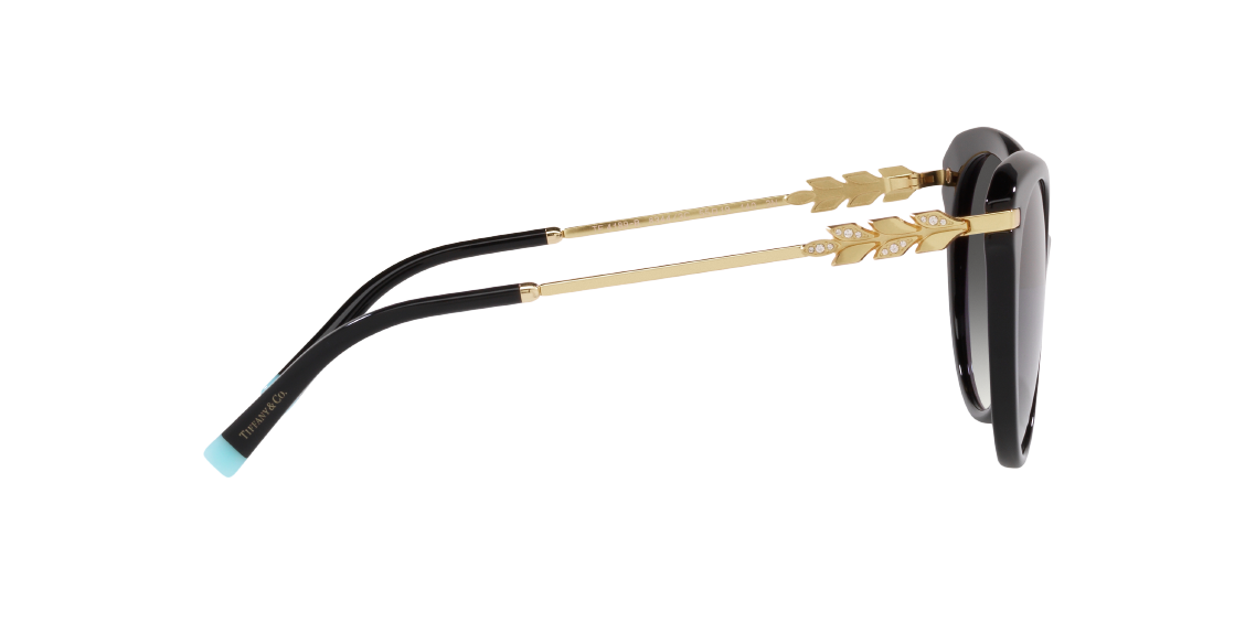 Солнцезащитные очки Tiffany & Co. TF4189B 83443C