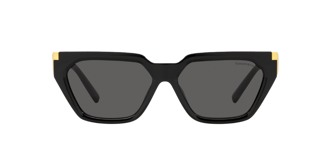 Солнцезащитные очки Tiffany & Co. TF4205U 8001S4