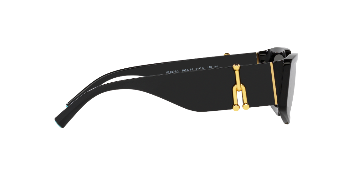 Солнцезащитные очки Tiffany & Co. TF4208U 8001S4