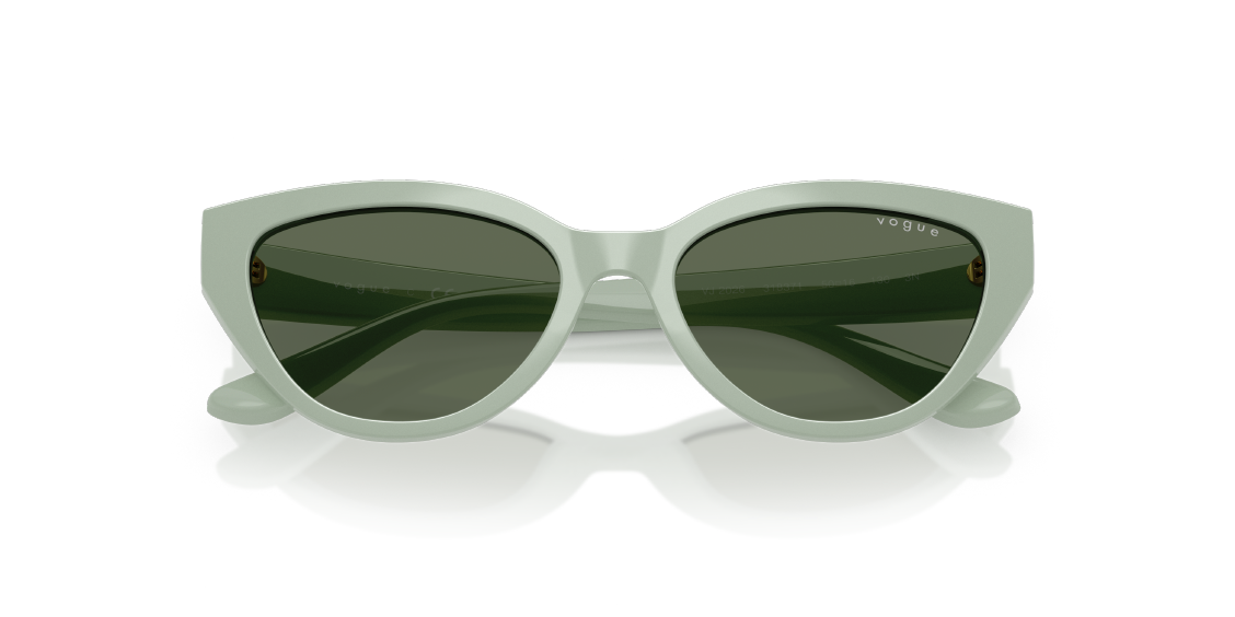Солнцезащитные очки Vogue VJ2026 318371