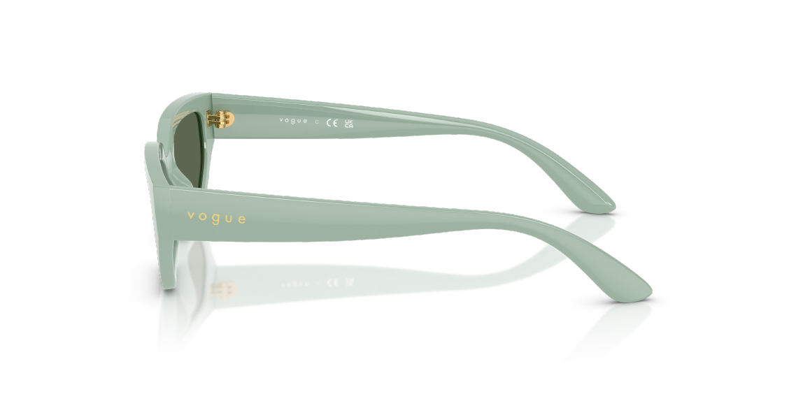 Солнцезащитные очки Vogue VJ2029 320571