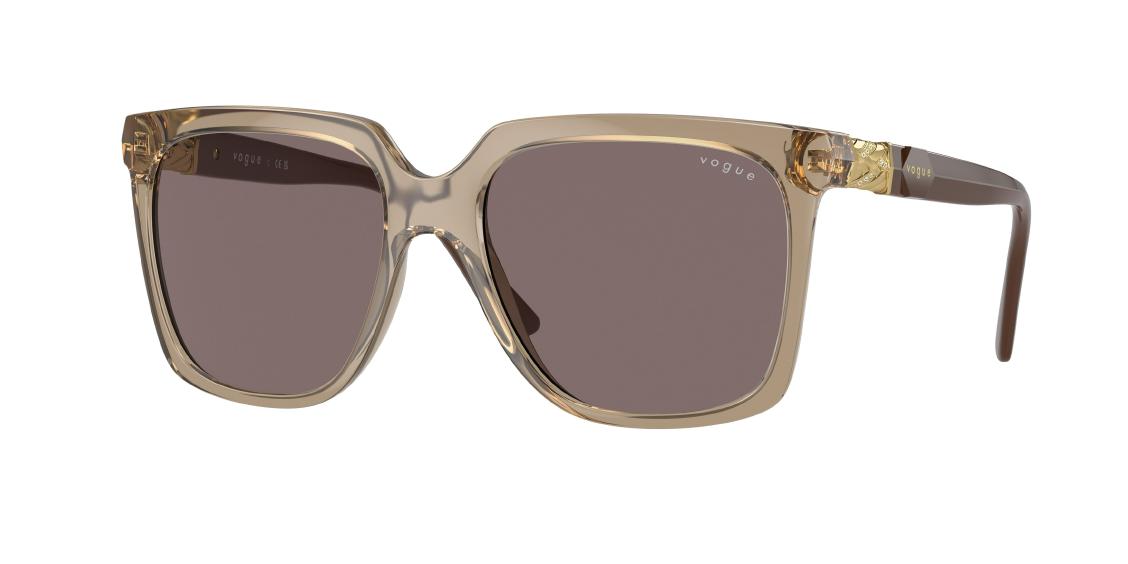 Солнцезащитные очки Vogue VO5476SB 29407N