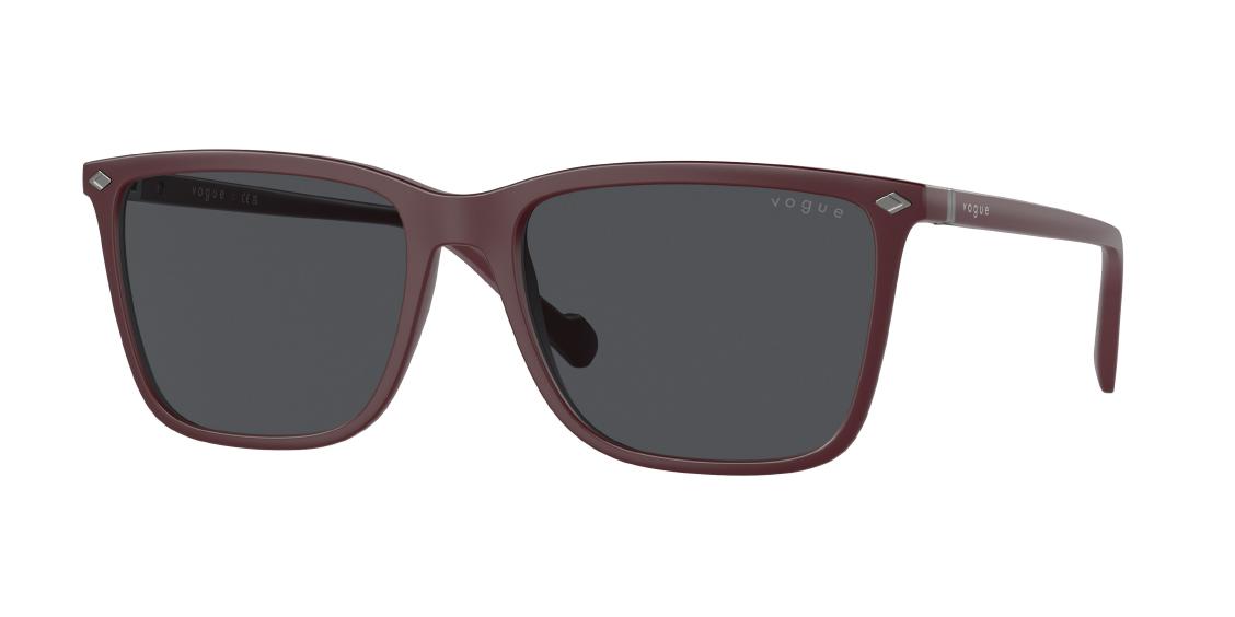Солнцезащитные очки Vogue VO5493S 304887