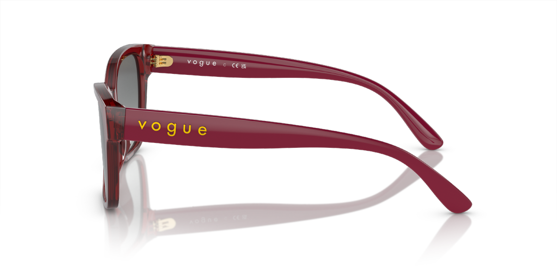 Солнцезащитные очки Vogue VO5534SI 292411