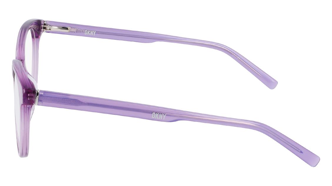 Оптическая оправа DKNY DK5050 550