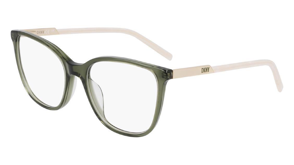 Оптическая оправа DKNY DK5066 330