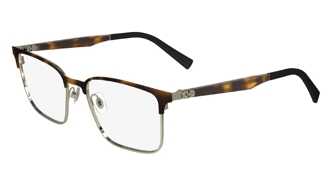 Оптическая оправа Salvatore Ferragamo SF2226 273