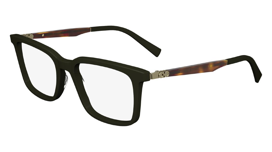 Оптическая оправа Salvatore Ferragamo SF2969 302