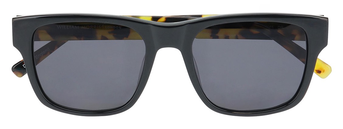 Солнцезащитные очки William Morris 10085 6032