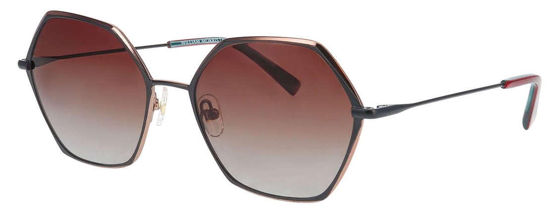 Солнцезащитные очки William Morris 10092 5021