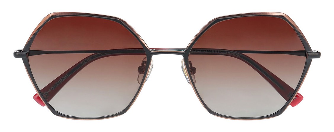 Солнцезащитные очки William Morris 10092 5021