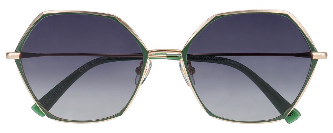 Солнцезащитные очки William Morris 10092 9521