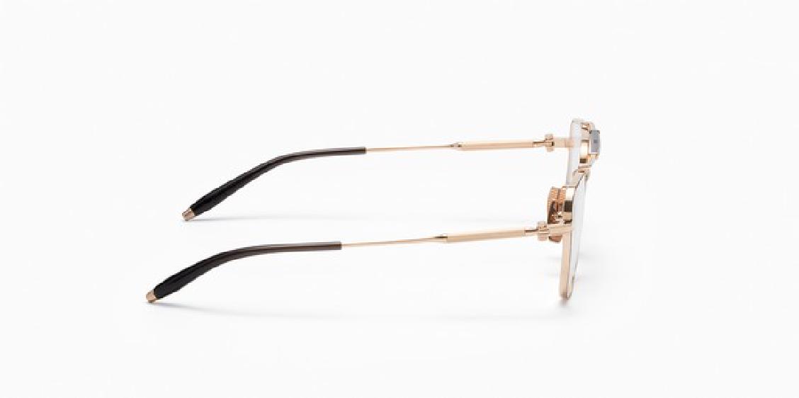 Оптическая оправа Akoni Europa AKX 200 F GLD-BLK