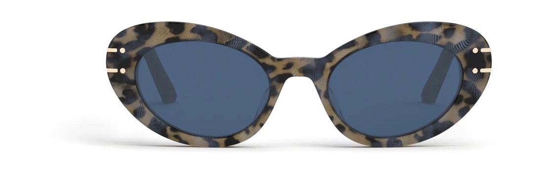 Солнцезащитные очки DIOR DiorSignature B3U 69B0 CD40087U 57V