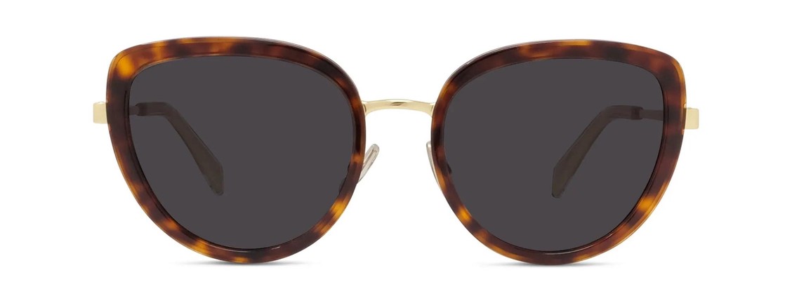 Солнцезащитные очки Celine CL40203U 52A