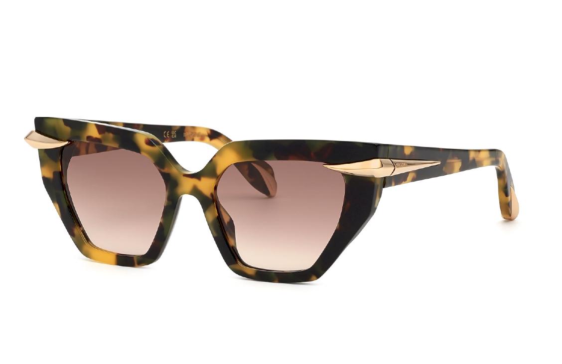 Roberto Cavalli SRC001M 0AGG