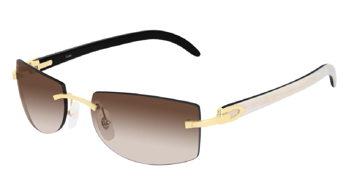 Cartier CT0017RS 001