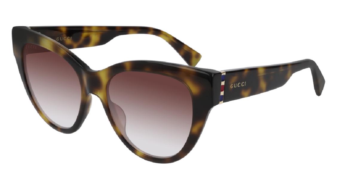 Gucci GG0460S 004