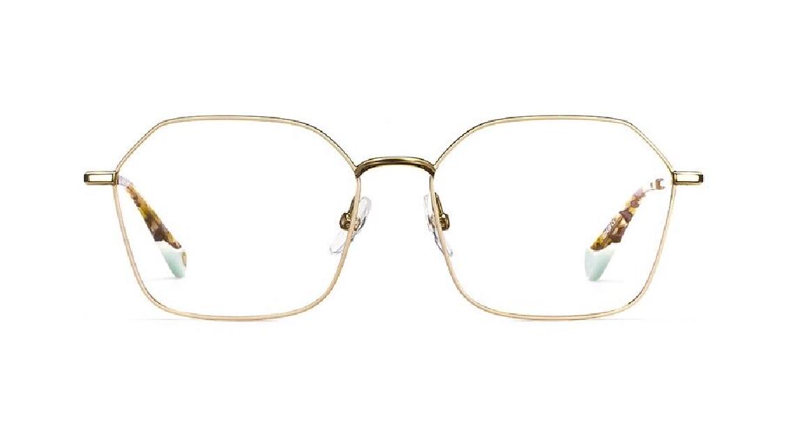 Оптическая оправа Etnia Barcelona 4 BRICK2 55O BEGD