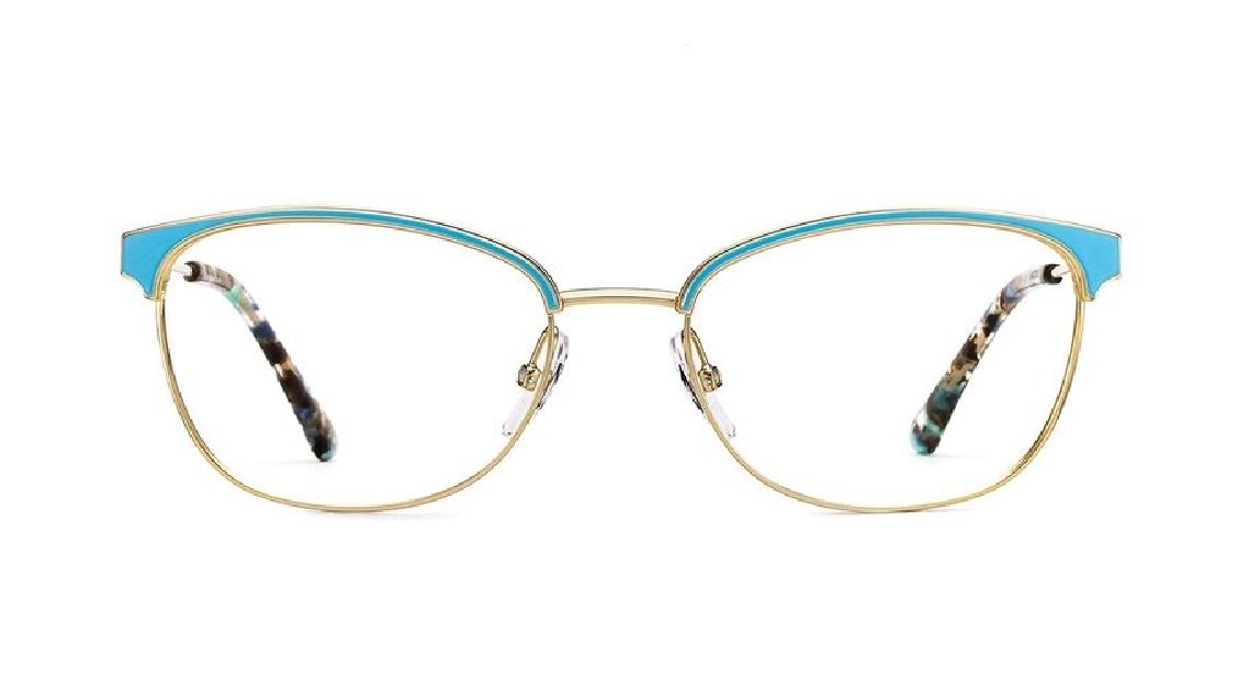 Оптическая оправа Etnia Barcelona 4 ROYAL 53O GDTQ