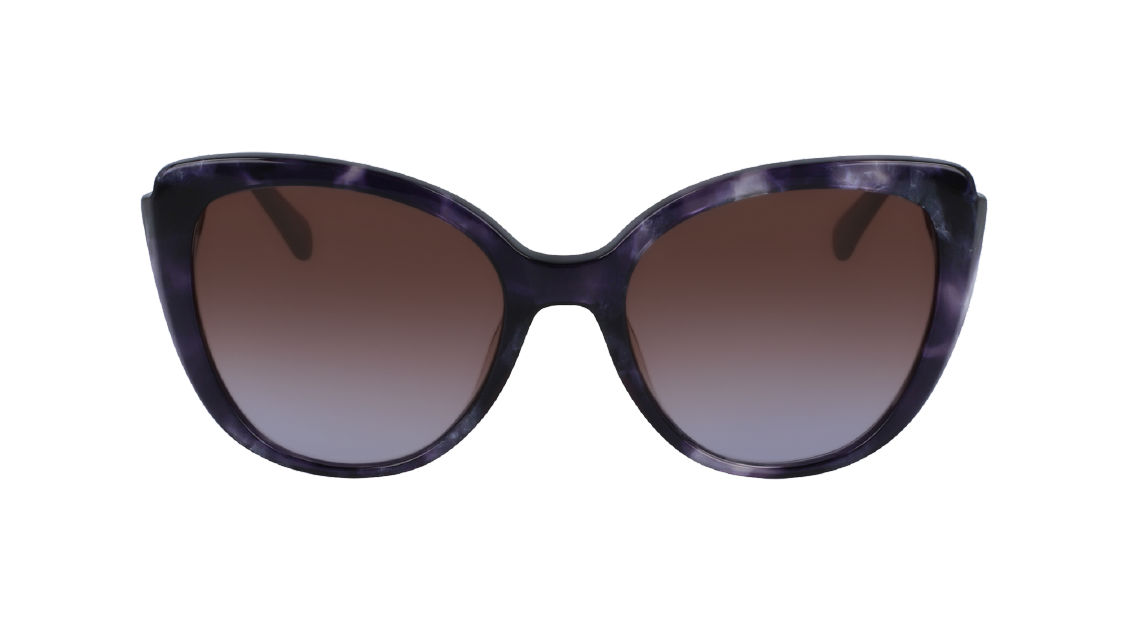 Солнцезащитные очки Longchamp LO670S 421