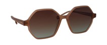 Солнцезащитные очки Odette Lunettes Clarkson Sun Brown/Transparent