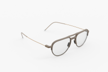 Оптическая оправа Weareannu CF PL 06 M STN GLD