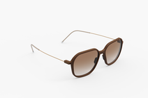 Солнцезащитные очки Weareannu CF SQ 31 L SUN HZL GLD BGR