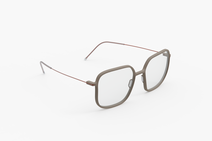 Оптическая оправа Weareannu CL SQ 04 L STN BRZ