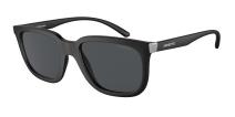 Солнцезащитные очки Arnette Plaka AN4306 275887