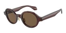 Солнцезащитные очки Giorgio Armani AR8205 606273