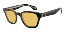 Солнцезащитные очки Giorgio Armani AR8207 608485