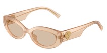 Солнцезащитные очки Dolce & Gabbana DG4537 308993