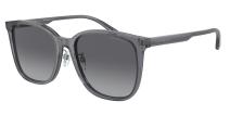 Emporio Armani 5029T3