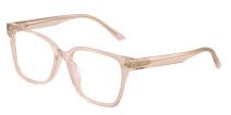 Оптическая оправа Jimmy Choo JC3038D 5052