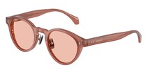 Солнцезащитные очки Moncler ME6017D 302684