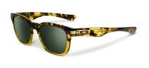 Oakley Garage Rock LX (A) 204104