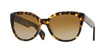 Oliver Peoples Abrie 1407T5