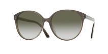 Oliver Peoples Brooktree 16258E
