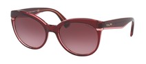 Солнцезащитные очки Ralph RA5238 16988H
