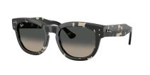 Солнцезащитные очки Ray-Ban Mega Hawkeye RB0298S 133371