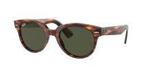 Ray-Ban Orion 954/31