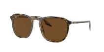 Солнцезащитные очки Ray-Ban RB2203 139357