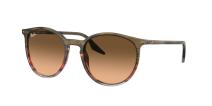 Солнцезащитные очки Ray-Ban RB2204 13953B