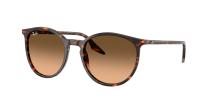 Солнцезащитные очки Ray-Ban RB2204 14293B
