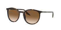 Солнцезащитные очки Ray-Ban RB2204 902/51