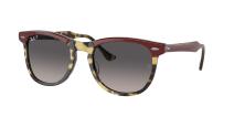 Солнцезащитные очки Ray-Ban Eagleeye RB2398 1377M3