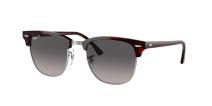Ray-Ban Clubmaster 1378M3