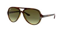 Ray-Ban Cats 5000 710/A6